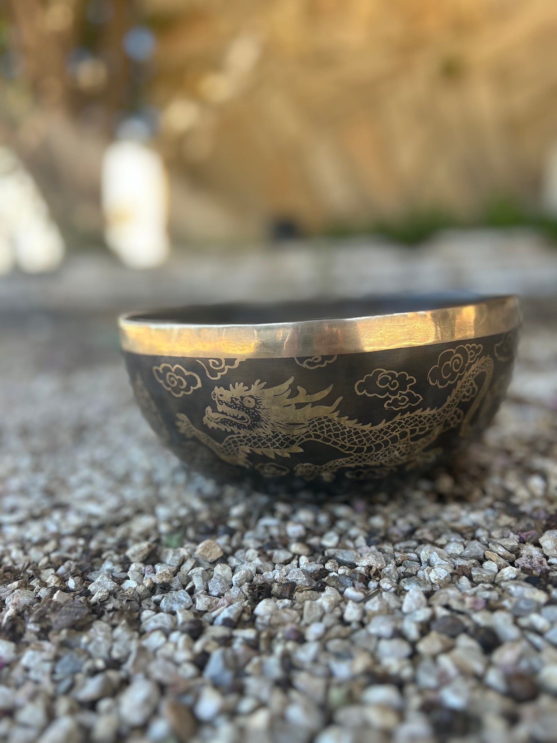 The Dragon Bowl