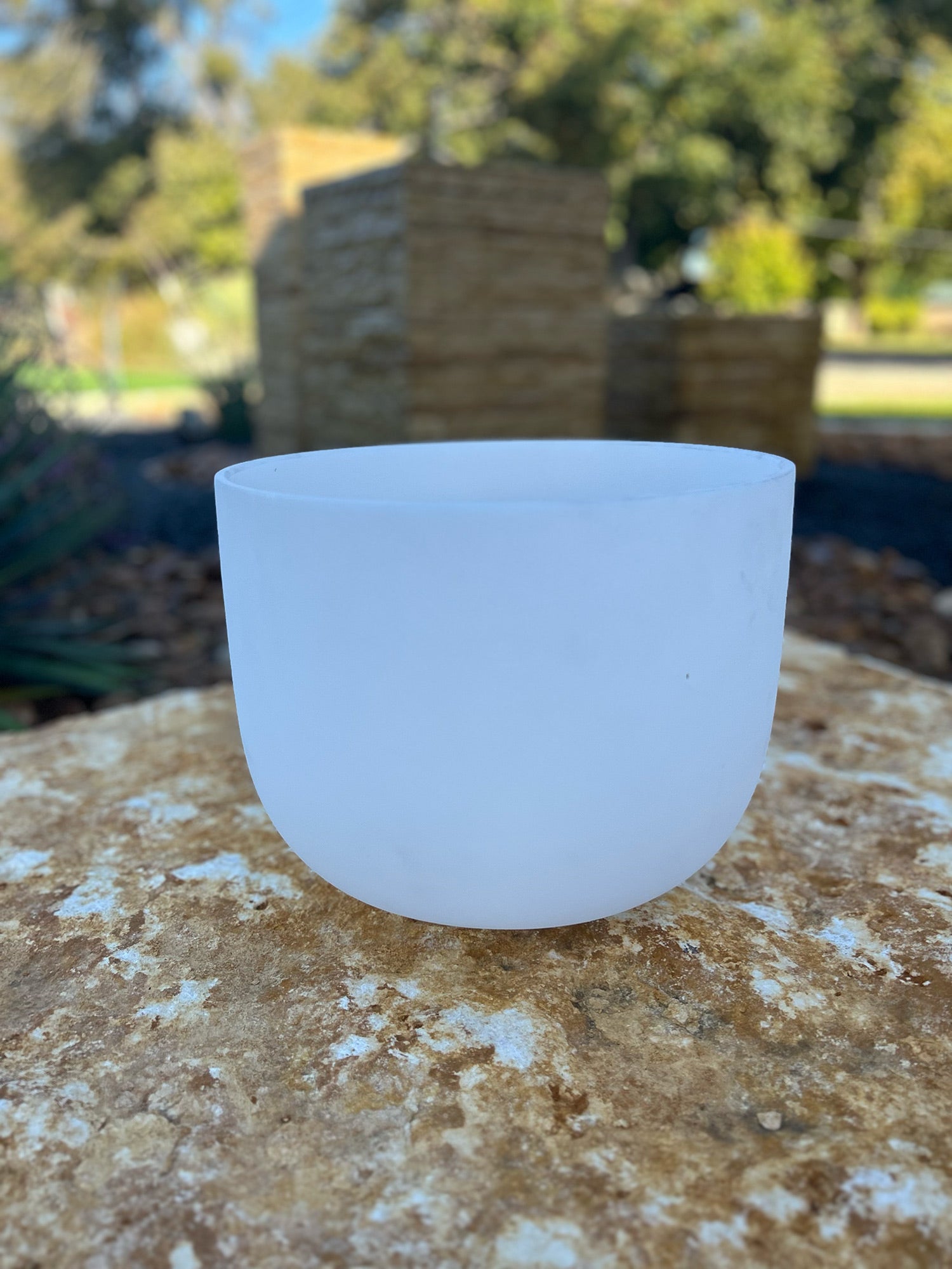 8 inch, C5 Perfect Pitch Frosted Crystal Singing Bowl Bowl