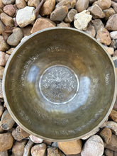 The Wisdom Keeper 11.75 Inch Second Octave Bronze Bowl -- Limited Run