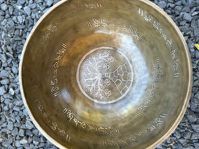 The Wisdom Keeper 11.75 Inch Second Octave Bronze Bowl -- Limited Run