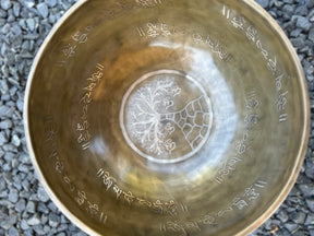 The Wisdom Keeper 11.75 Inch Second Octave Bronze Bowl -- Limited Run